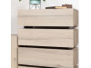 NATURE 6 GASKON PAYNE CHEST OF DRAWERS